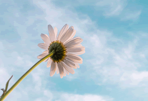 Cryptocurrency Market Analysis: What the Data Actually Shows - The Debate Rages