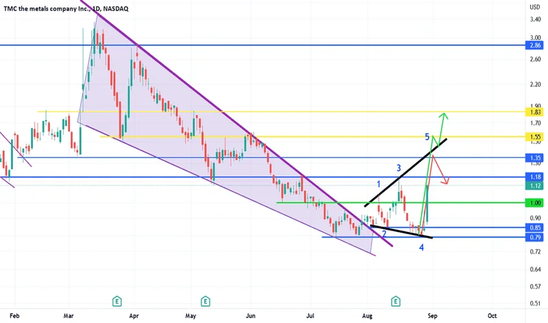 TMC Stock: Deconstructing the 24% Surge and 'Short Squeeze' Claims – What Reddit is Saying
